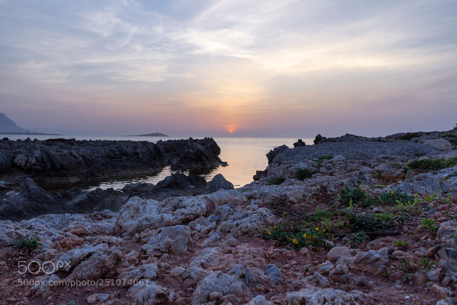 Canon EOS 600D (Rebel EOS T3i / EOS Kiss X5) sample photo. Sicilian sea life photography