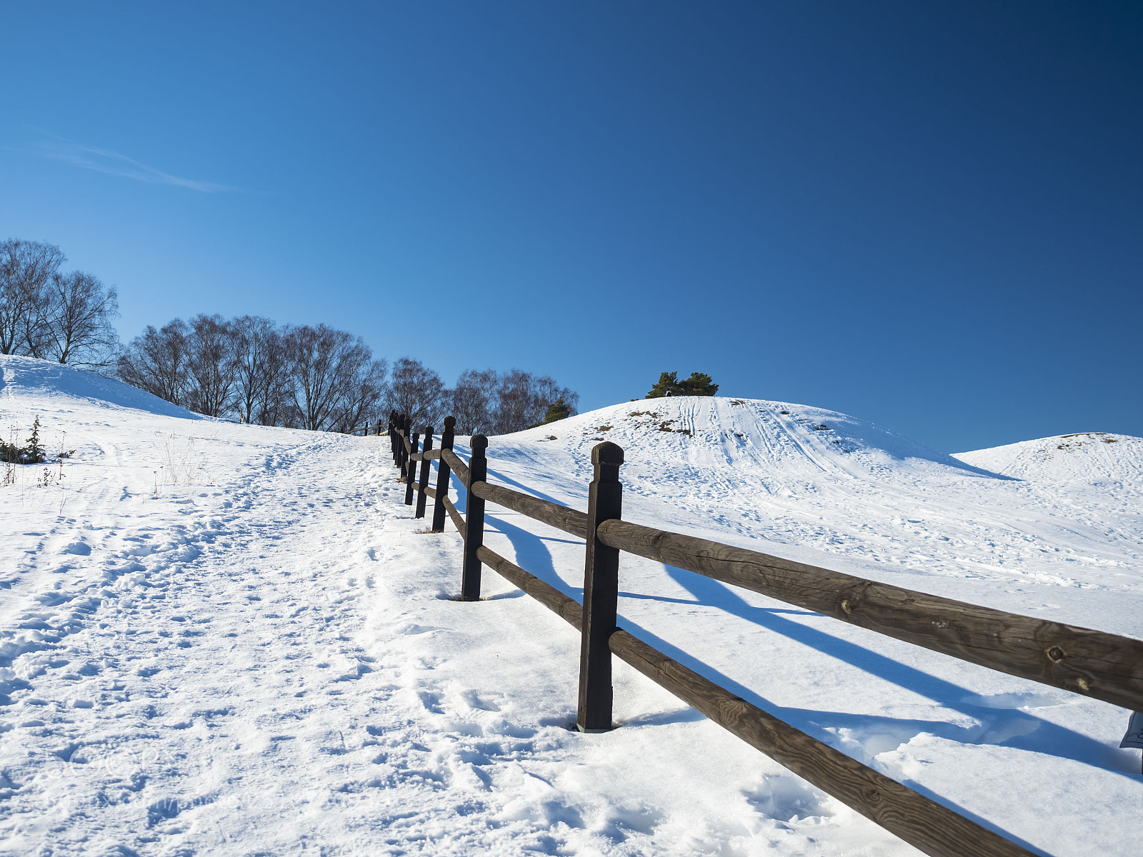 Olympus OM-D E-M5 II sample photo. Snow photography