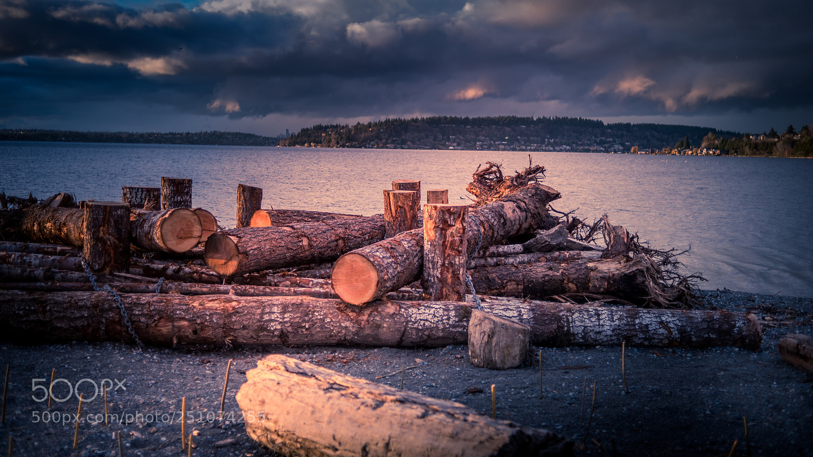 Nikon D750 sample photo. Logs by the water photography