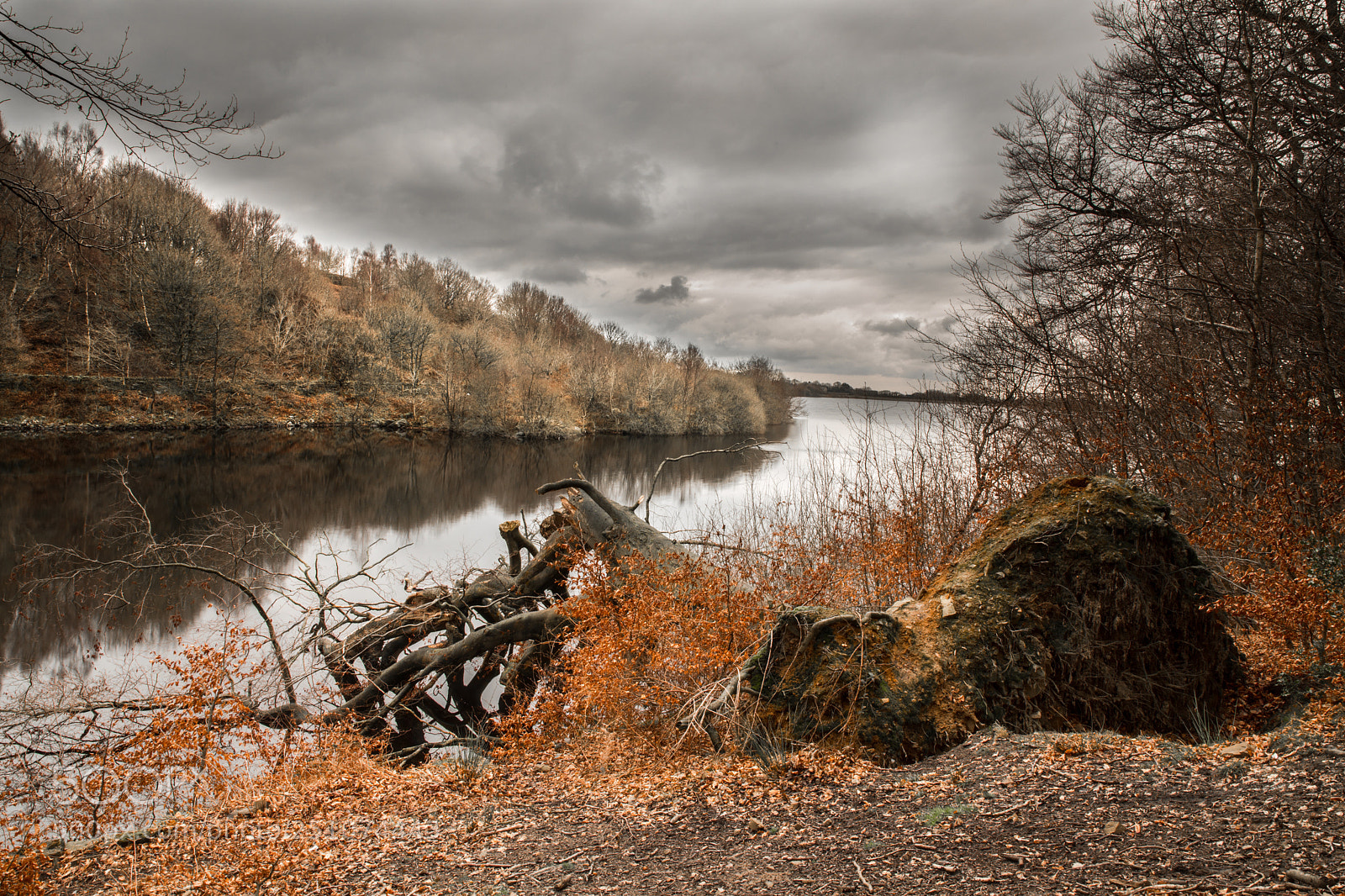 Canon EOS 5D Mark IV sample photo. Anglezarke photography