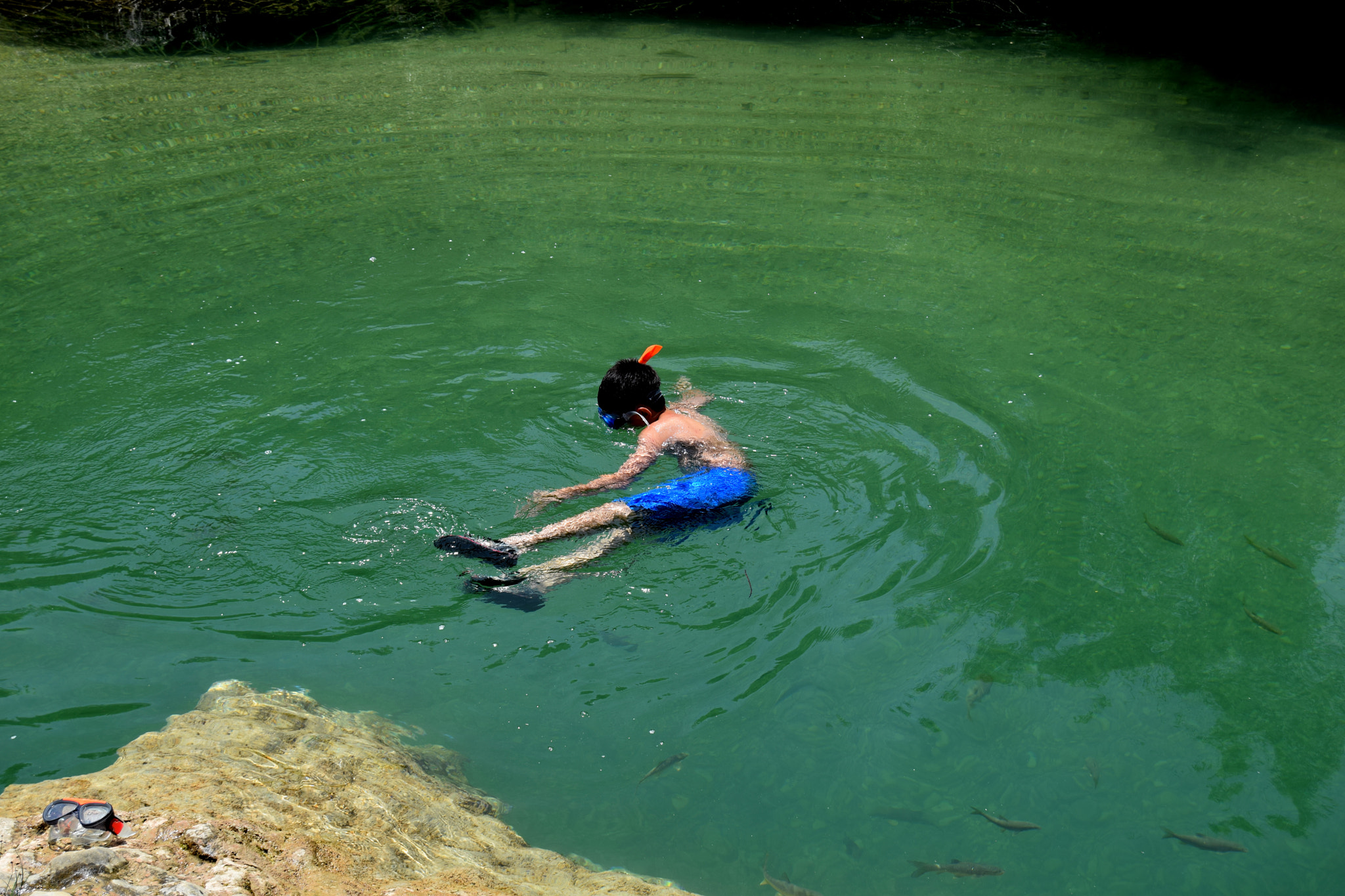 Nikon D3300 sample photo. Tiempo de verano photography
