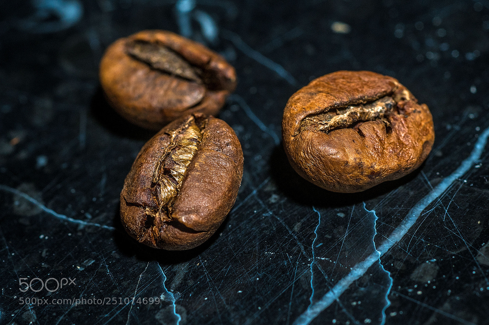 Nikon D500 sample photo. 10.jpg photography