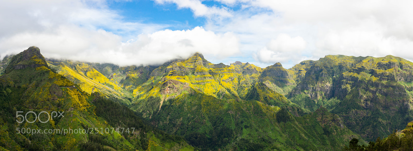 Sony SLT-A65 (SLT-A65V) sample photo. Madeira photography