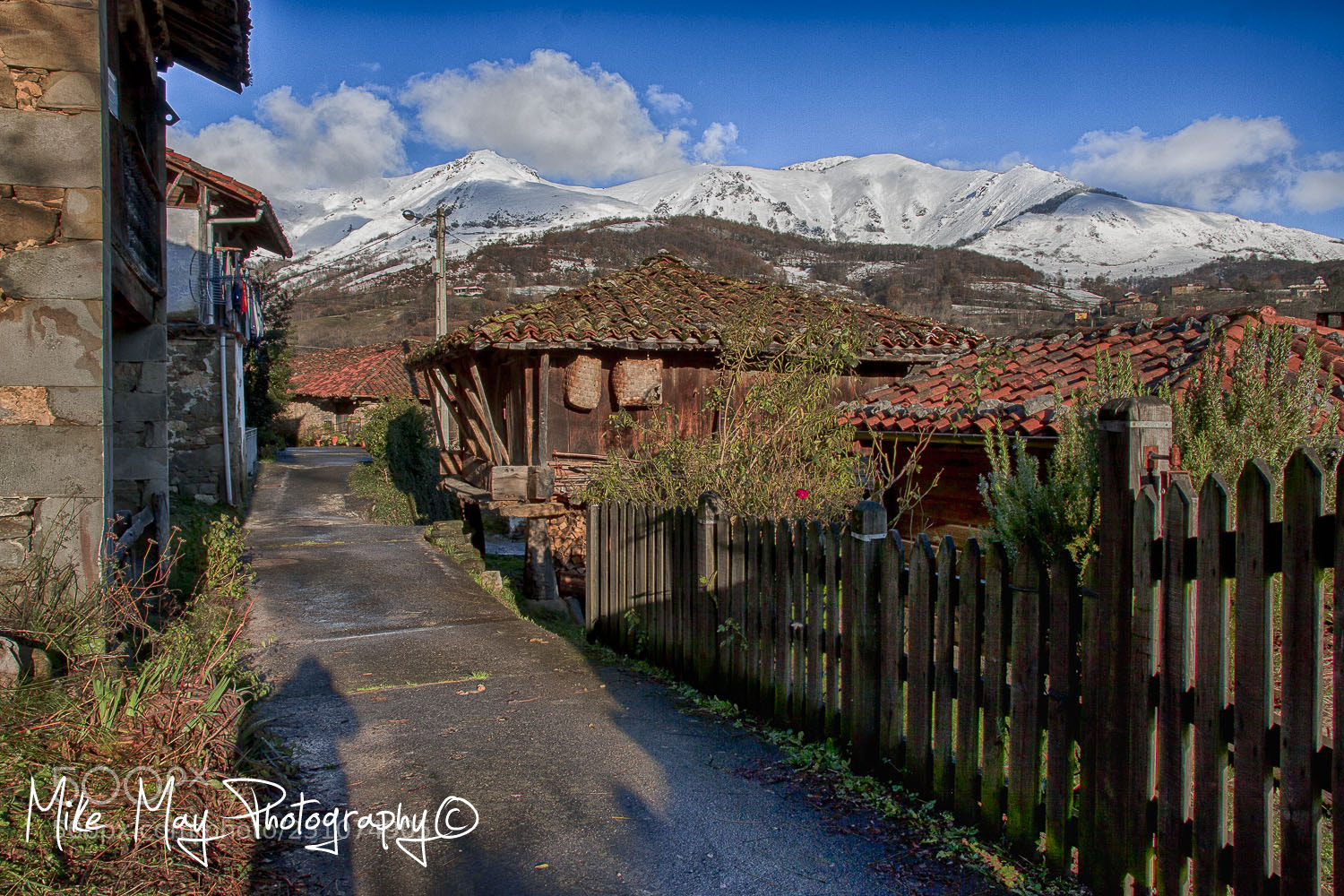 Canon EOS 50D sample photo. "in winter" photography