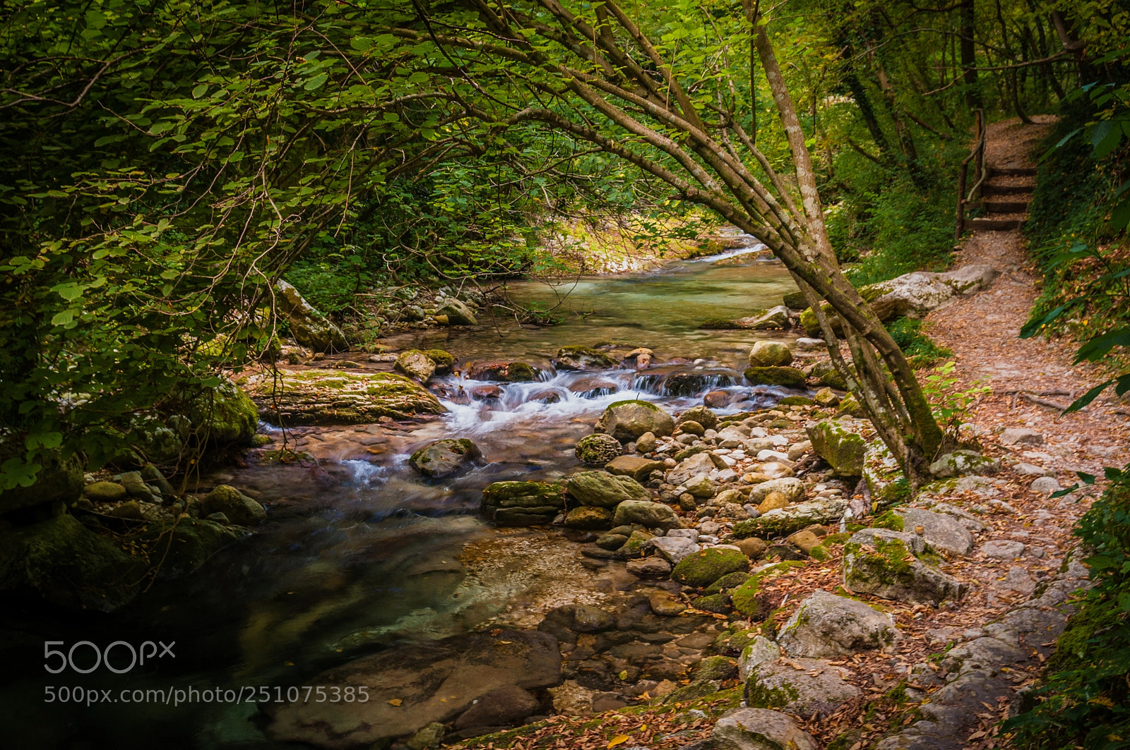Nikon D90 sample photo. Valle dell'orfento, caramanico terme photography