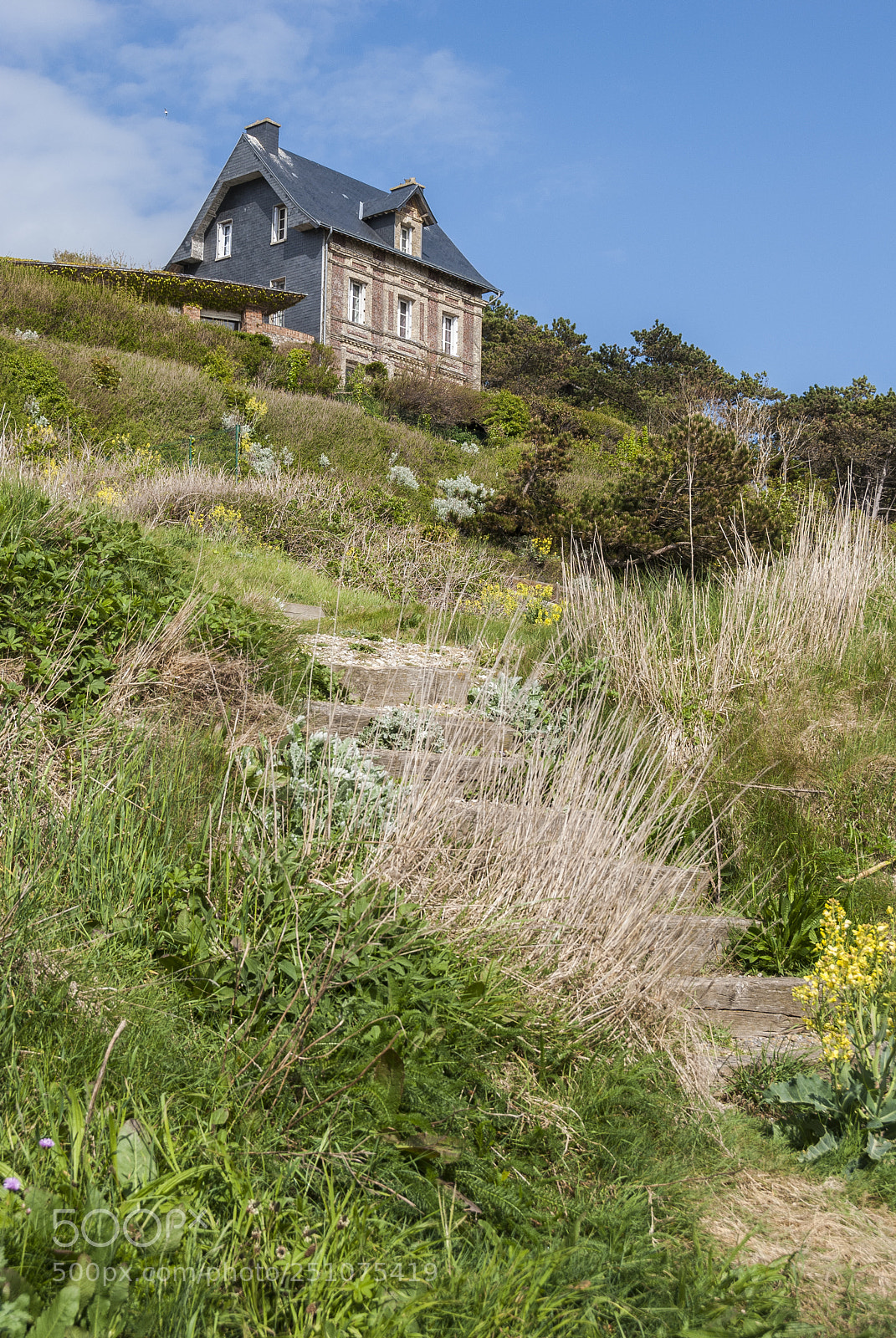 Nikon D60 sample photo. Charming house, normandy, france photography