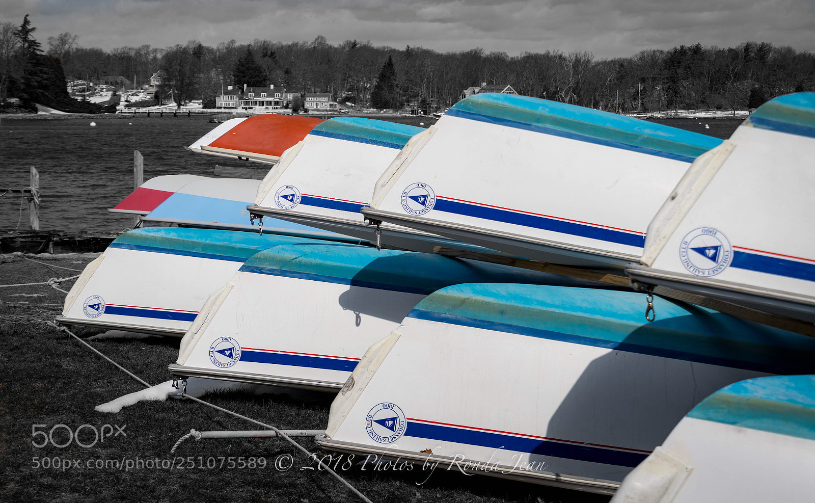 Nikon D500 sample photo. Untitled photography