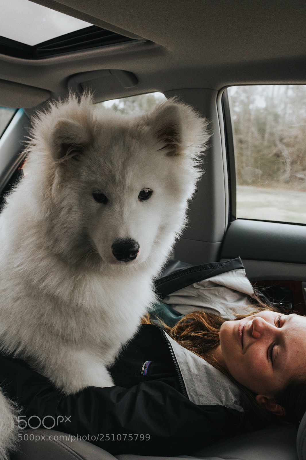 Canon EOS 60D sample photo. Road trippin photography