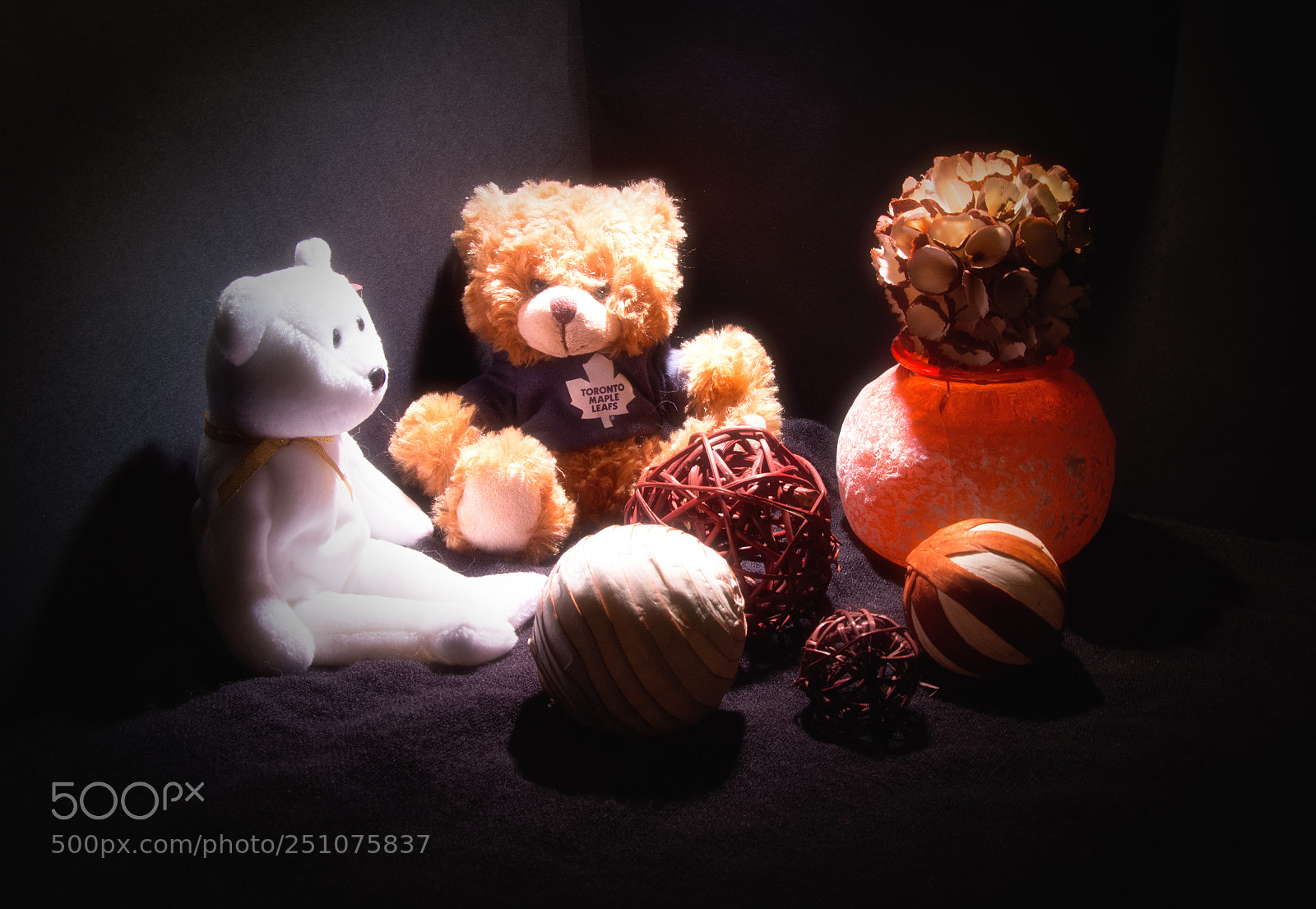 Nikon D7200 sample photo. Bears photography