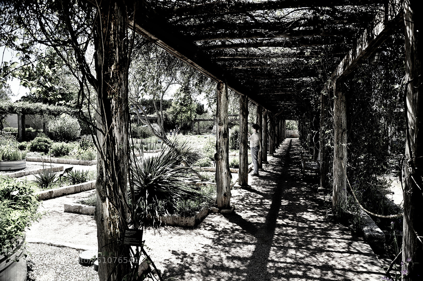 Nikon D90 sample photo. Grapearbor photography