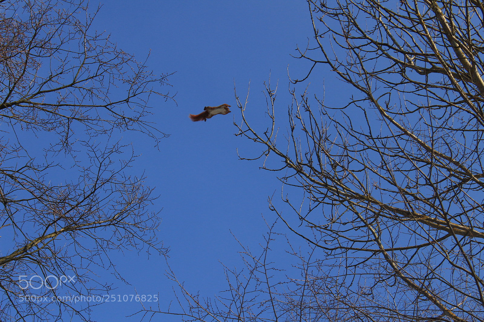 Canon EOS 1300D (EOS Rebel T6 / EOS Kiss X80) sample photo. Flying photography