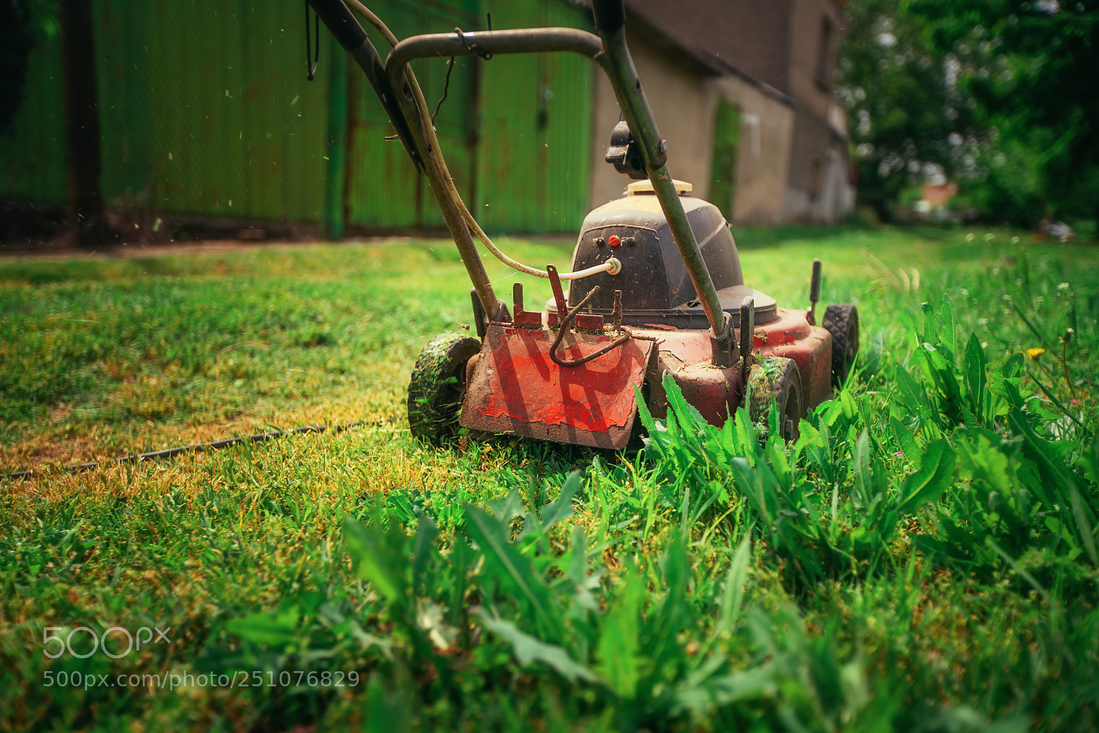 Sony a7R II sample photo. Lawn mower cutting green photography
