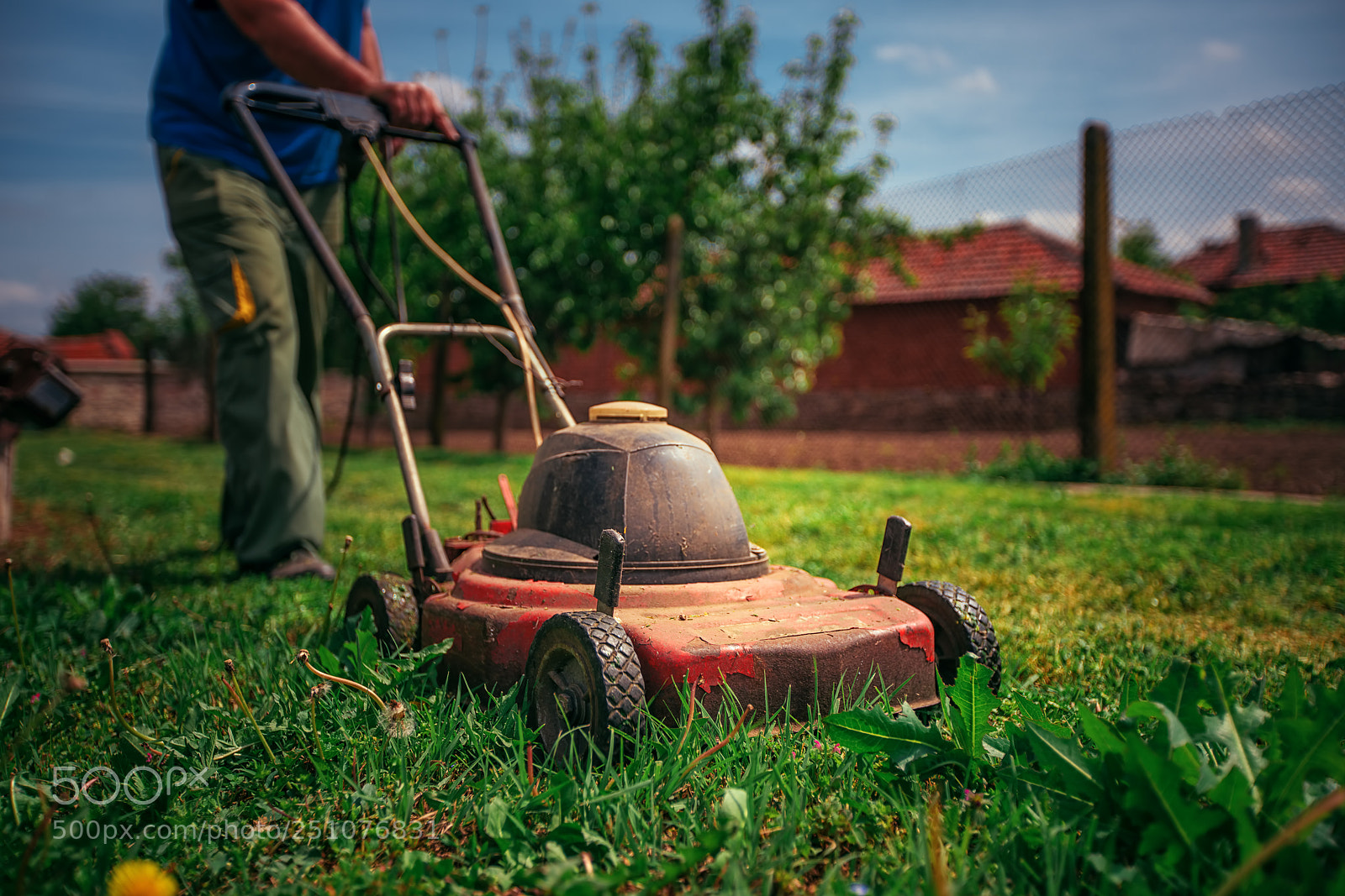 Sony a7R II sample photo. Lawn mower cutting green photography