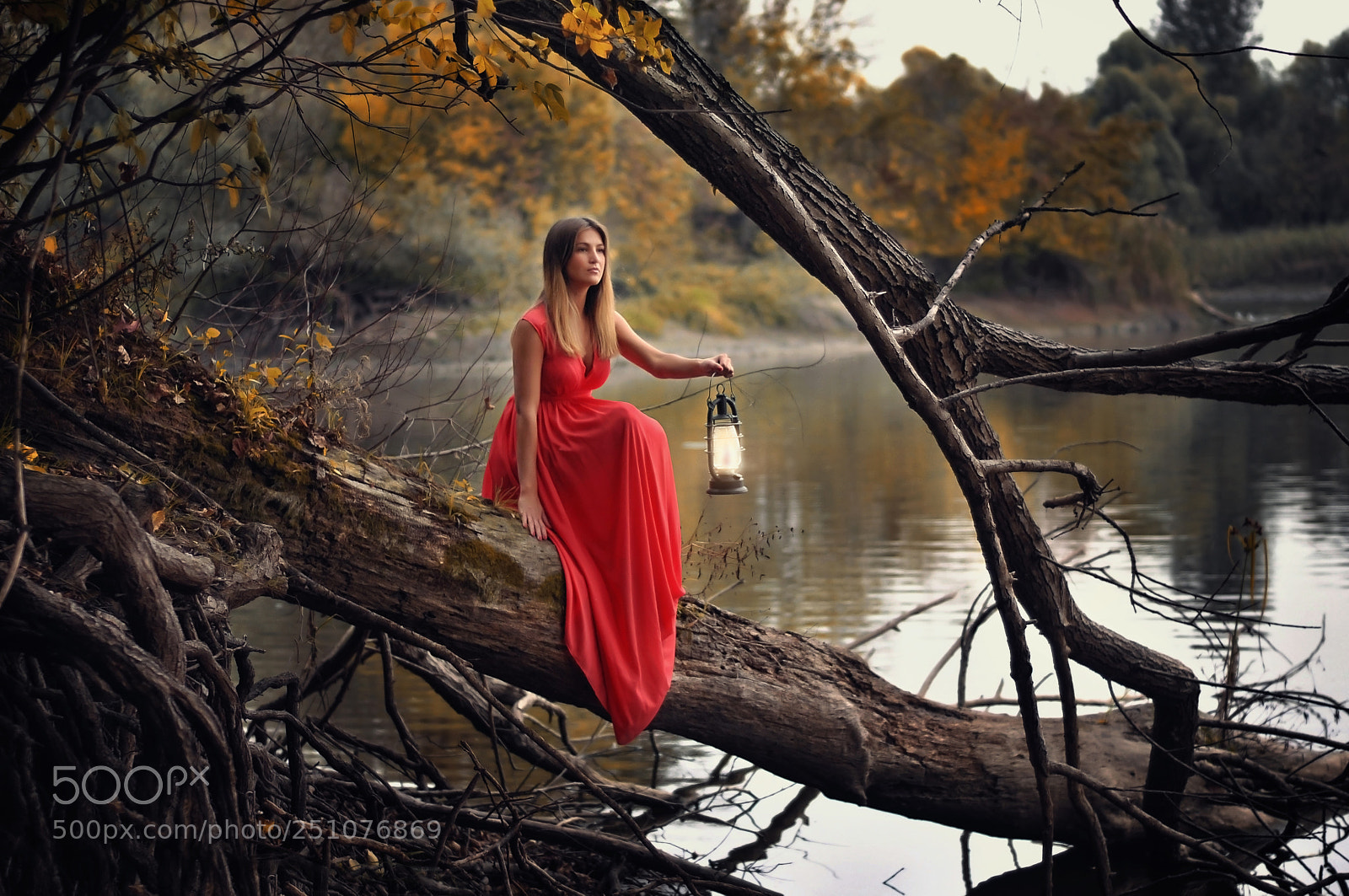 Nikon D300 sample photo. Lantern story girl photography
