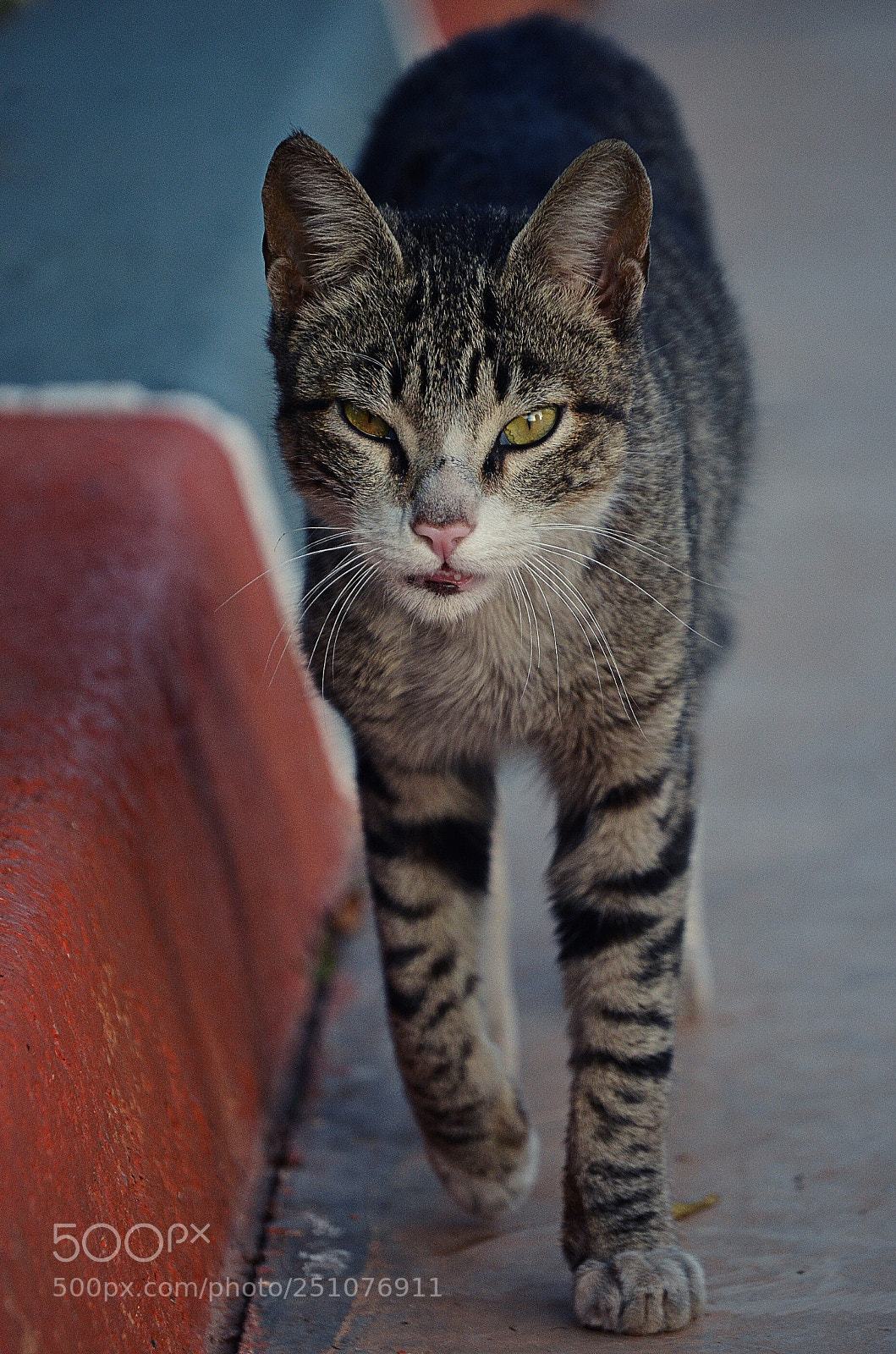 Nikon D7000 sample photo. Untitled photography