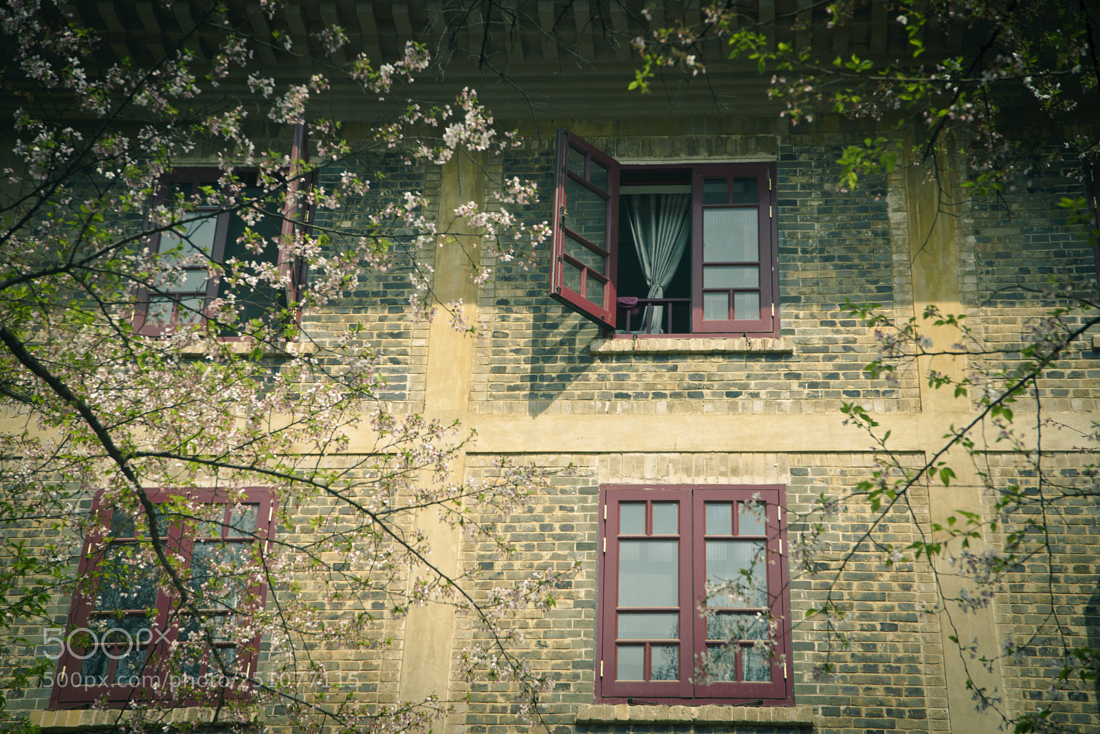 Nikon D610 sample photo. Untitled photography