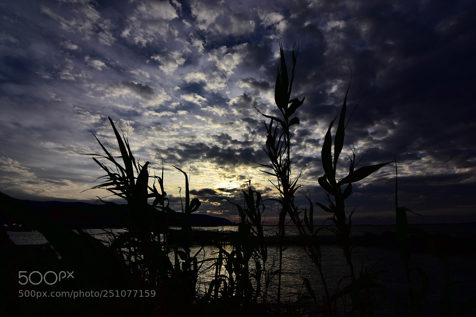 Nikon D7200 sample photo. L89 photography