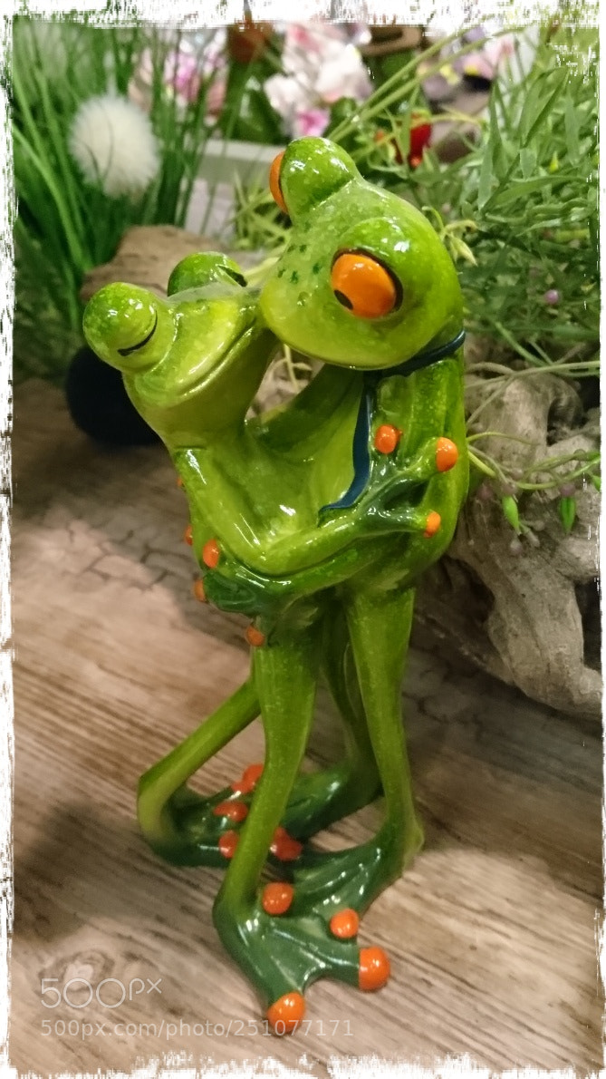 Sony Xperia X sample photo. Lovely frogs photography