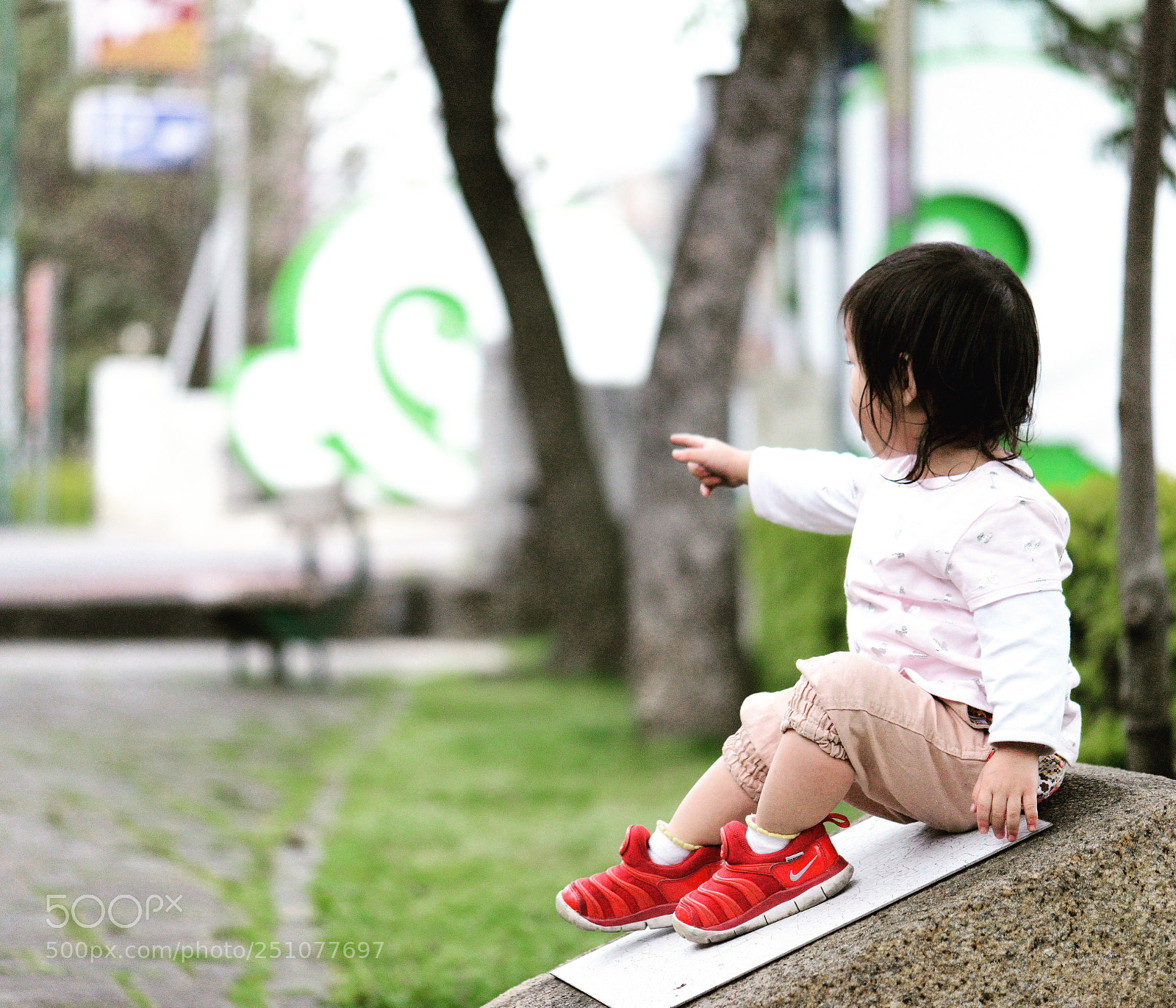 Nikon D800 sample photo. Untitled photography