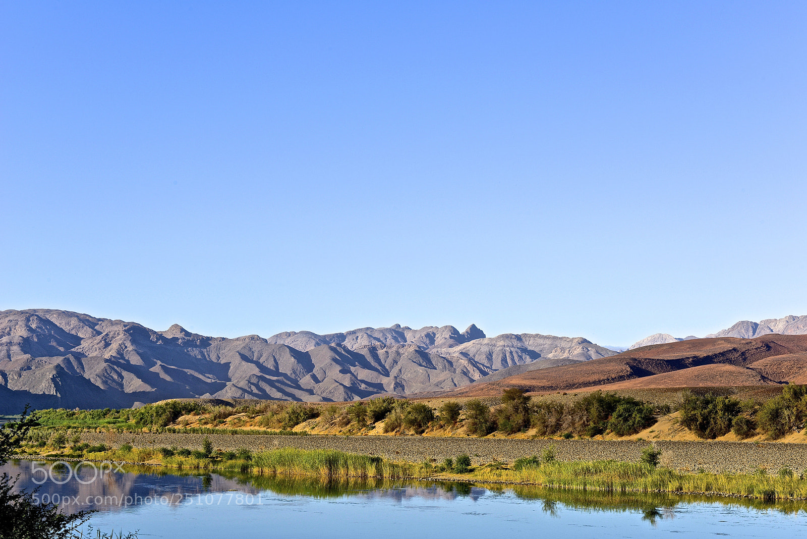 Nikon D800 sample photo. Orange photography