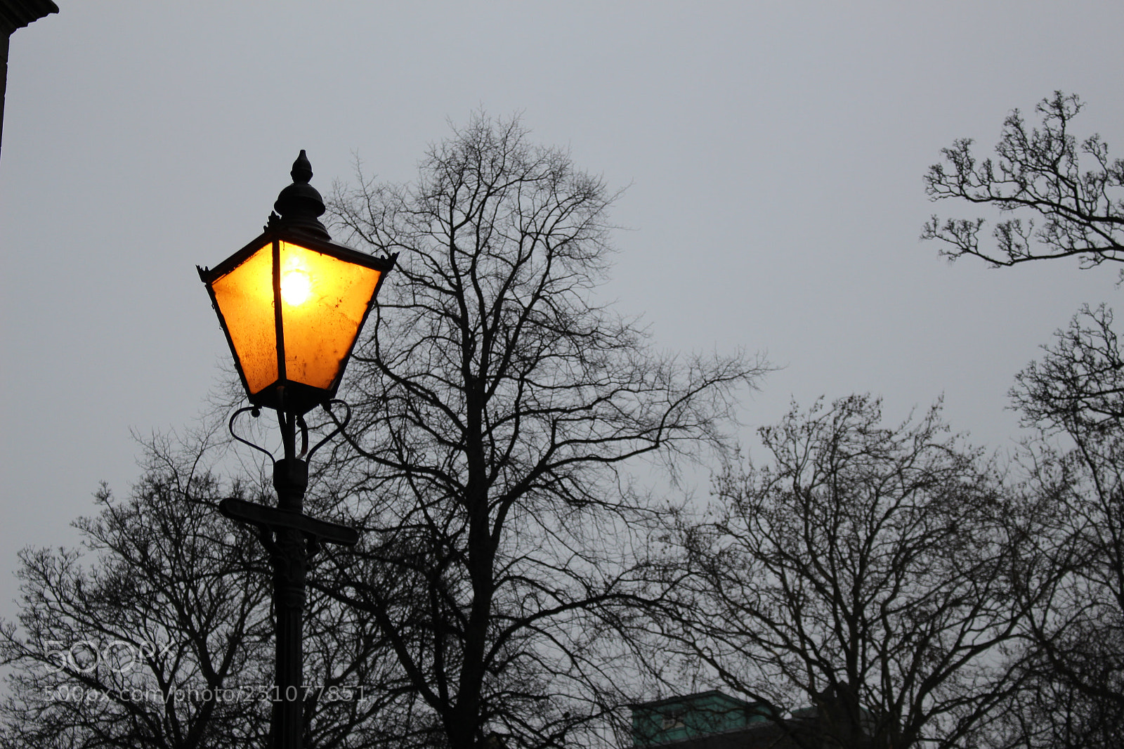 Canon EOS 700D (EOS Rebel T5i / EOS Kiss X7i) sample photo. Find your light photography