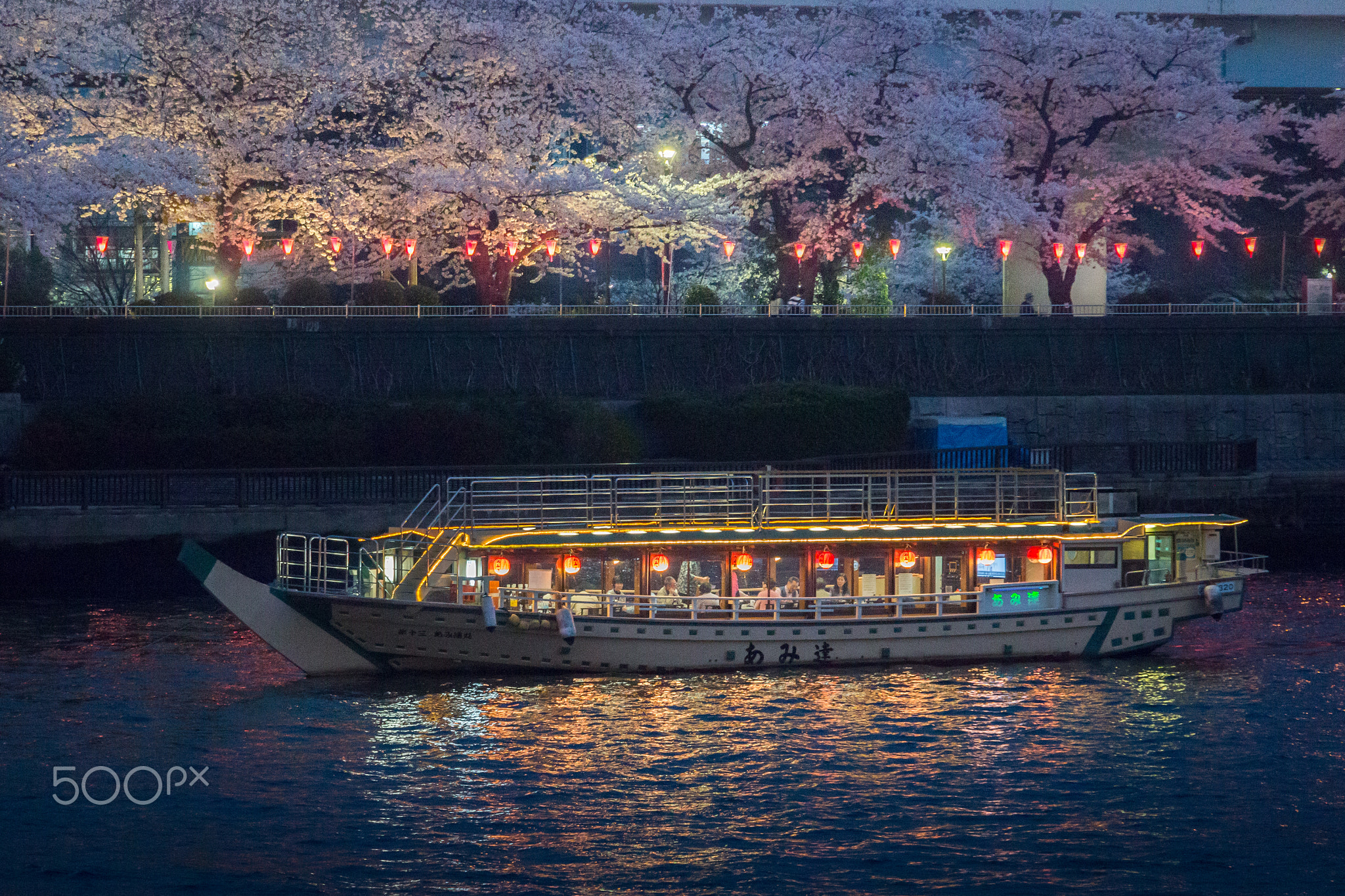 Boat party at sakura festival