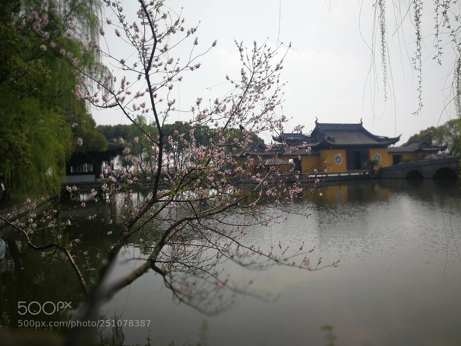 HUAWEI Mate 9 sample photo. Untitled photography