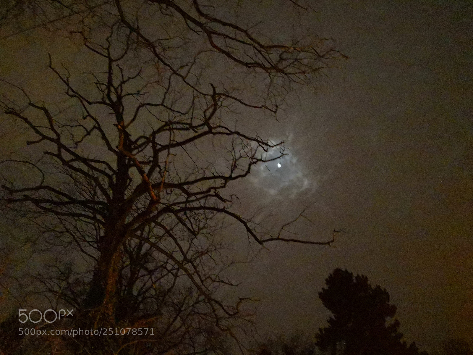 HUAWEI Mate 10 Pro sample photo. Untitled photography