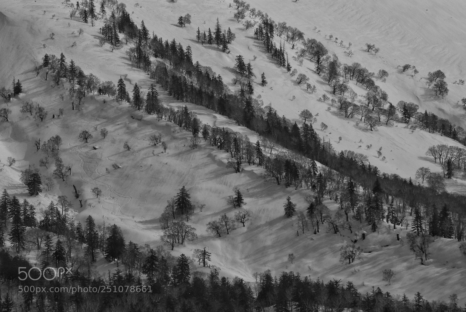 Pentax K10D sample photo. Mountainside photography