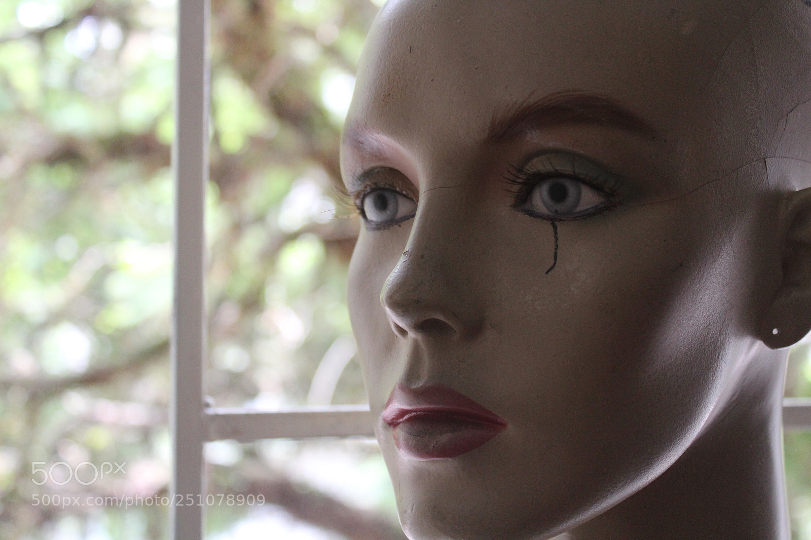 Canon EOS 1300D (EOS Rebel T6 / EOS Kiss X80) sample photo. Dollhouse  photography