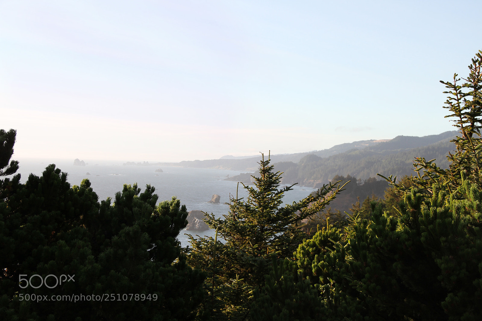 Canon EOS 7D sample photo. 163.jpg photography