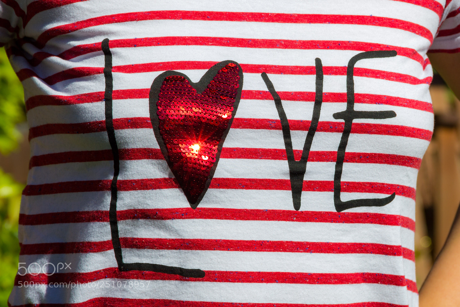 Canon EOS 550D (EOS Rebel T2i / EOS Kiss X4) sample photo. Love is in the photography