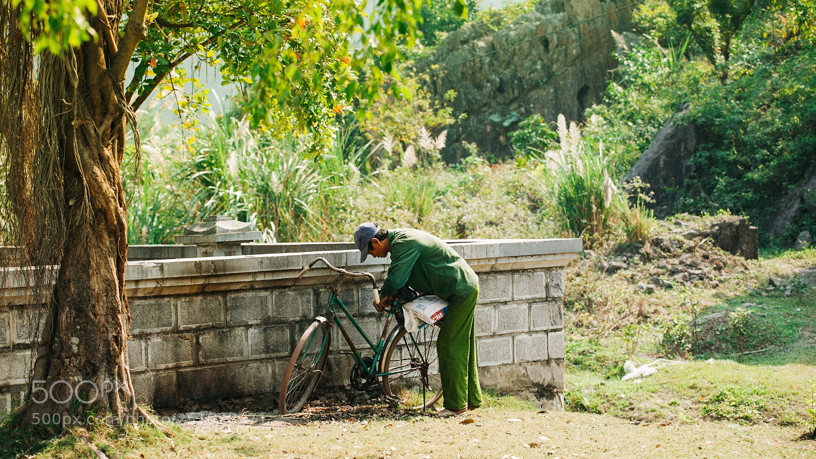 Canon EOS 5D Mark II sample photo. Green vietnam photography