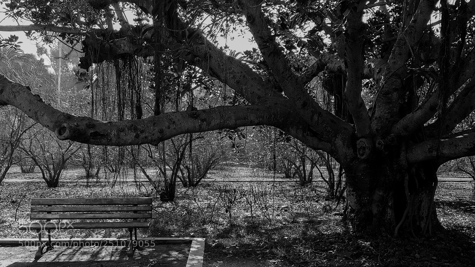 Samsung Galaxy Note4 sample photo. B&w photography