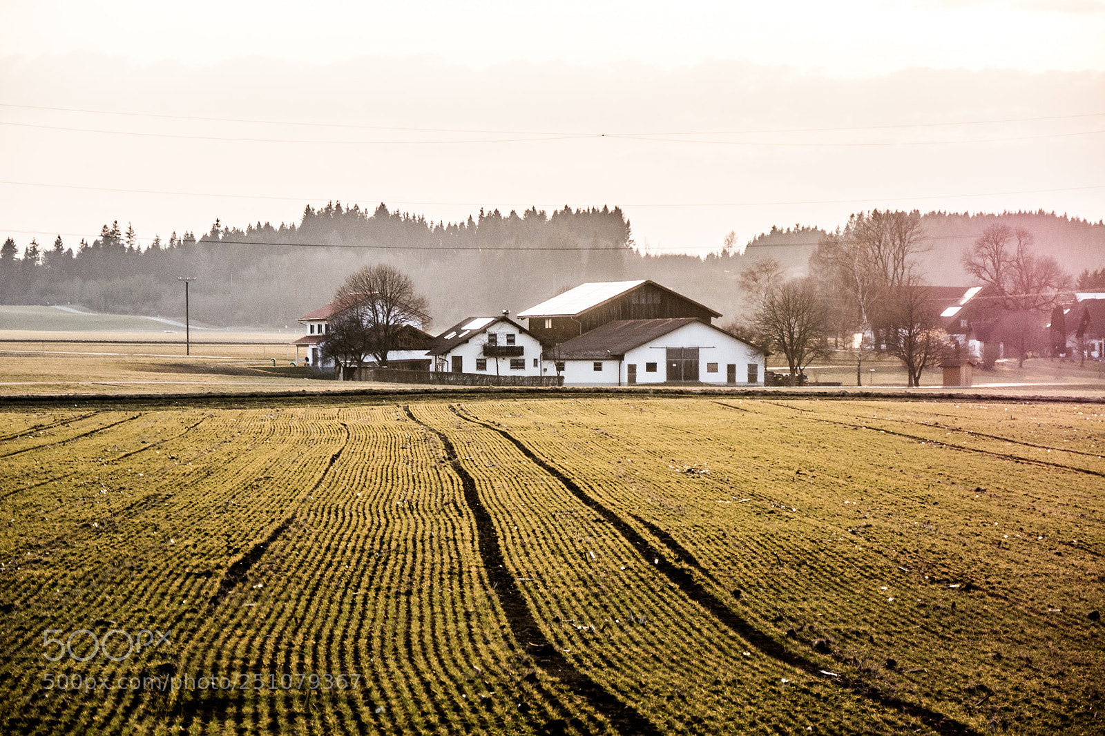 Panasonic DMC-G70 sample photo. Field on sundown photography