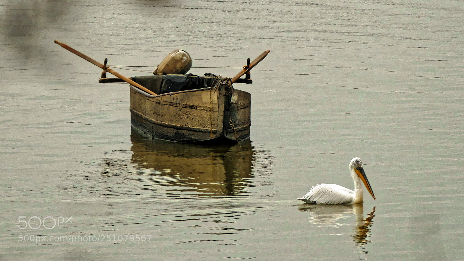 Panasonic Lumix DMC-FZ1000 sample photo. Boat & pelican photography