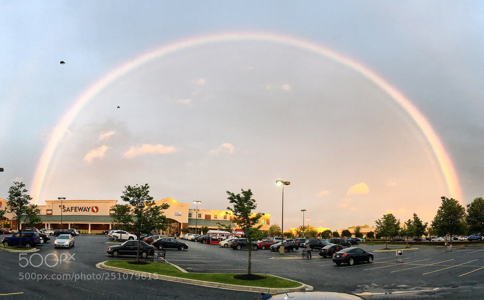 Apple iPhone 6s sample photo. Whole rainbow  photography
