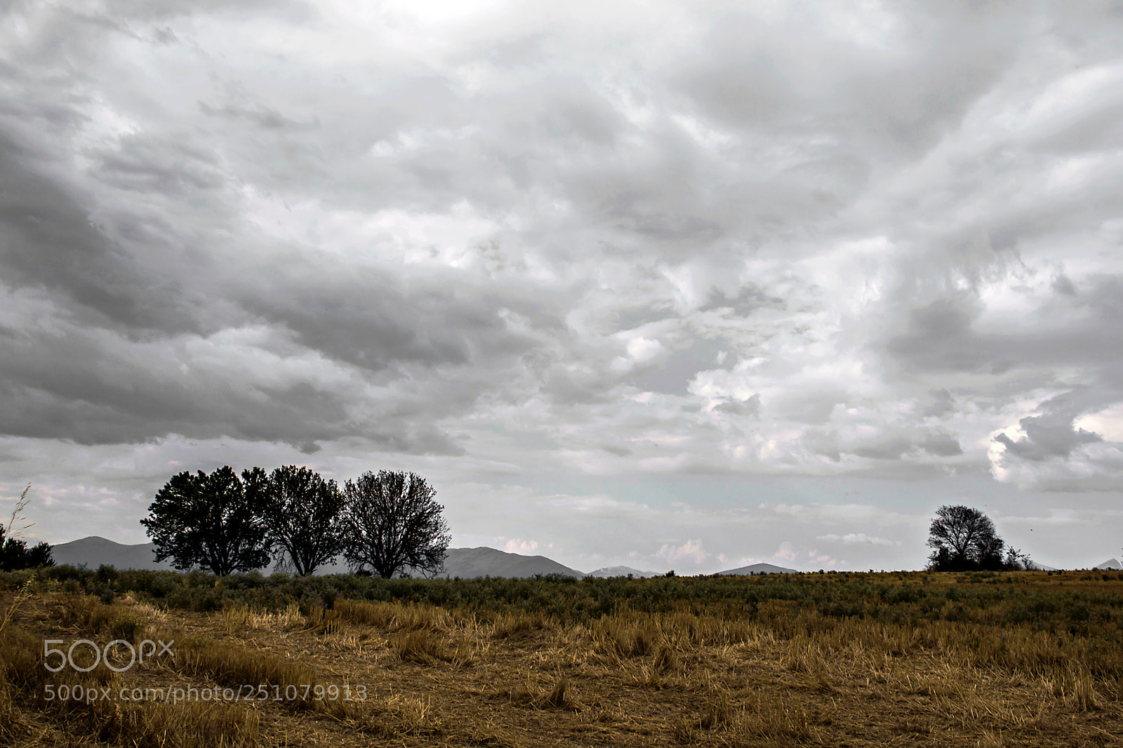 Nikon D5500 sample photo. Field photography