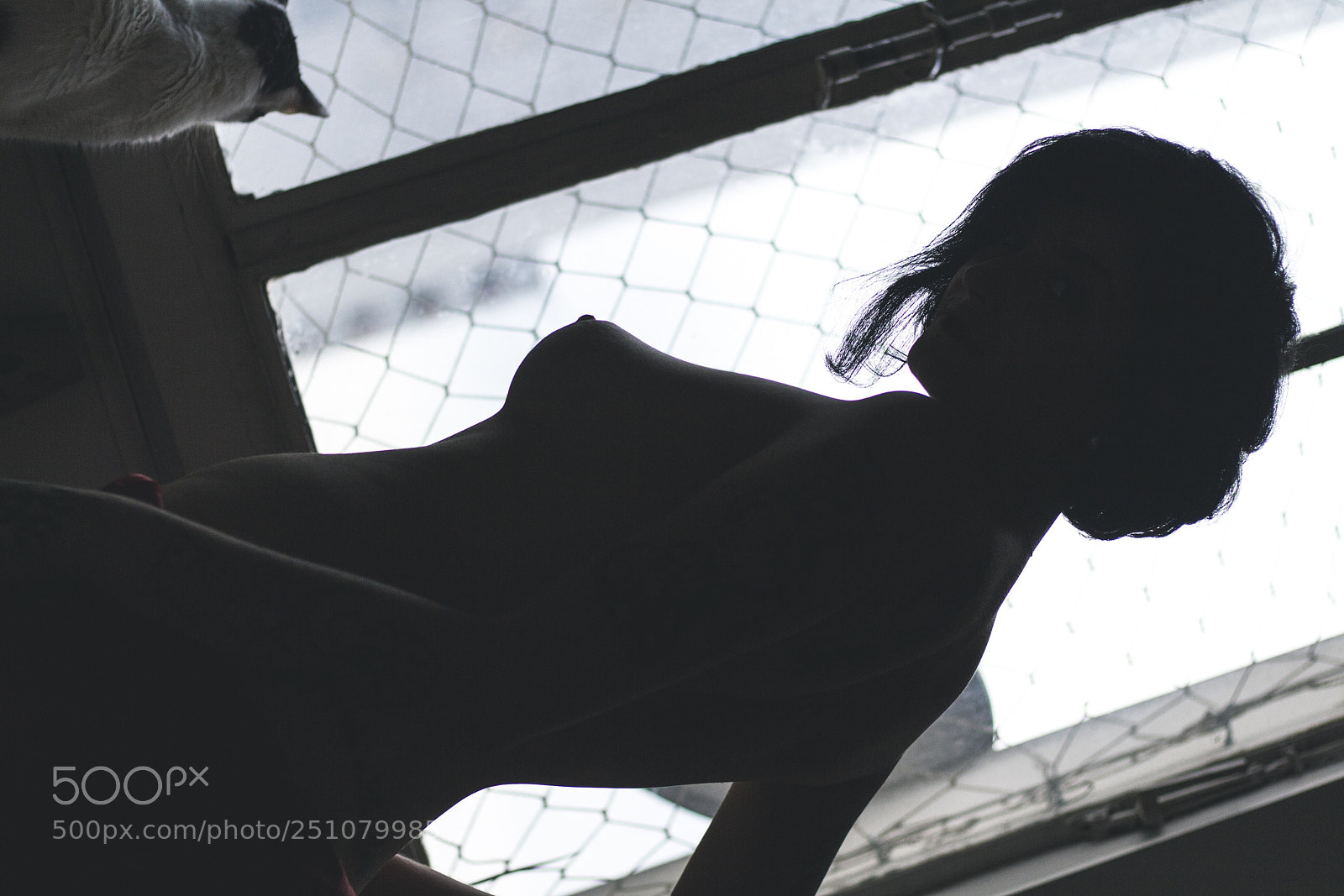 Canon EOS 700D (EOS Rebel T5i / EOS Kiss X7i) sample photo. Camila s. 02 photography