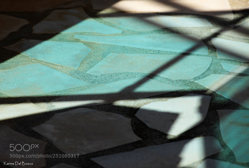 Canon EOS 5D Mark II sample photo. Incertum photography