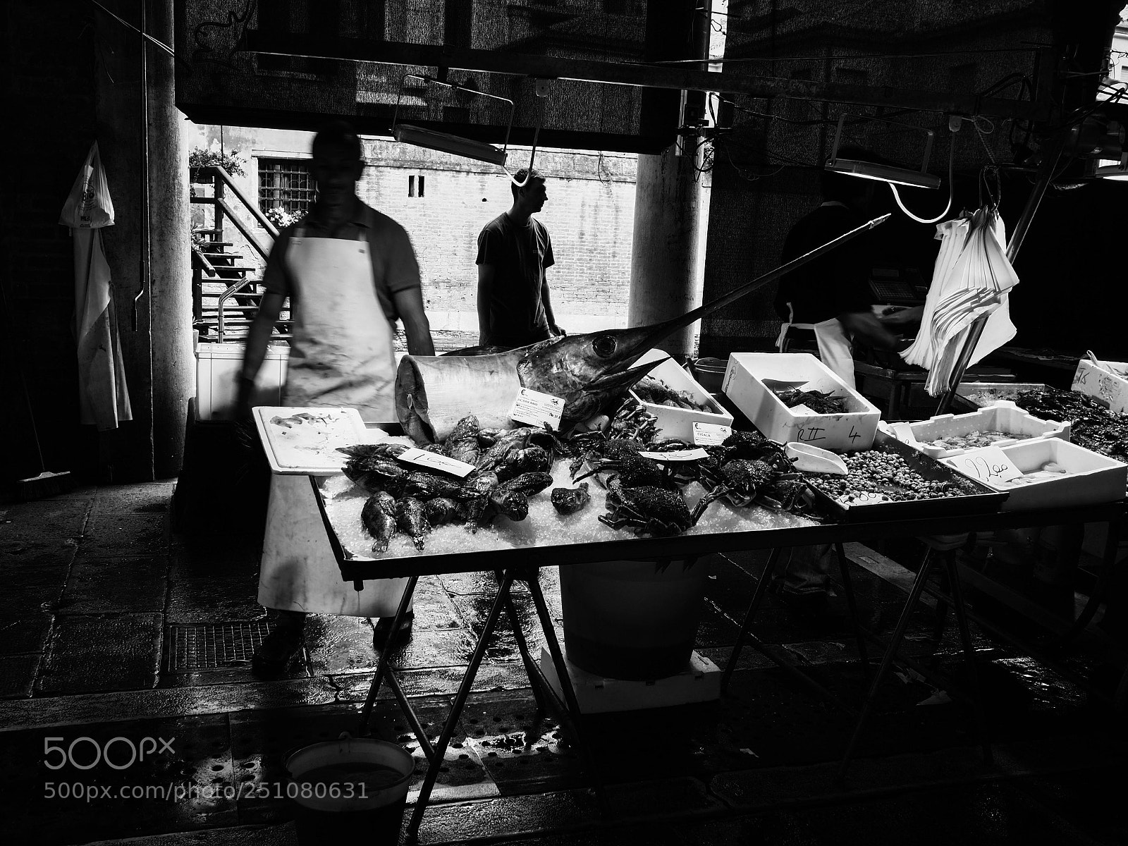 Olympus PEN-F sample photo. Fishmarket photography