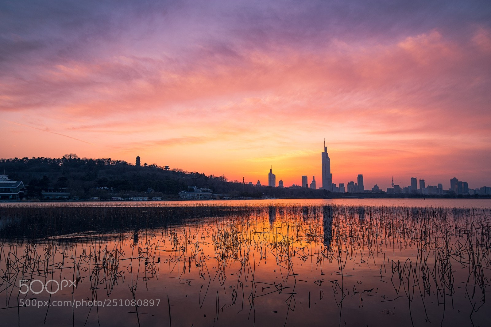 Nikon D800 sample photo. Xuanwu lake at sunset photography