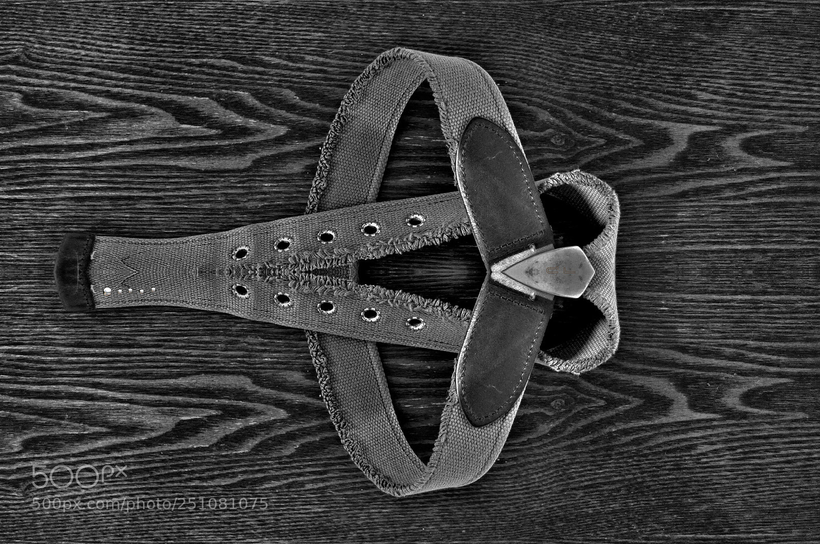 Nikon D5000 sample photo. Belt photography
