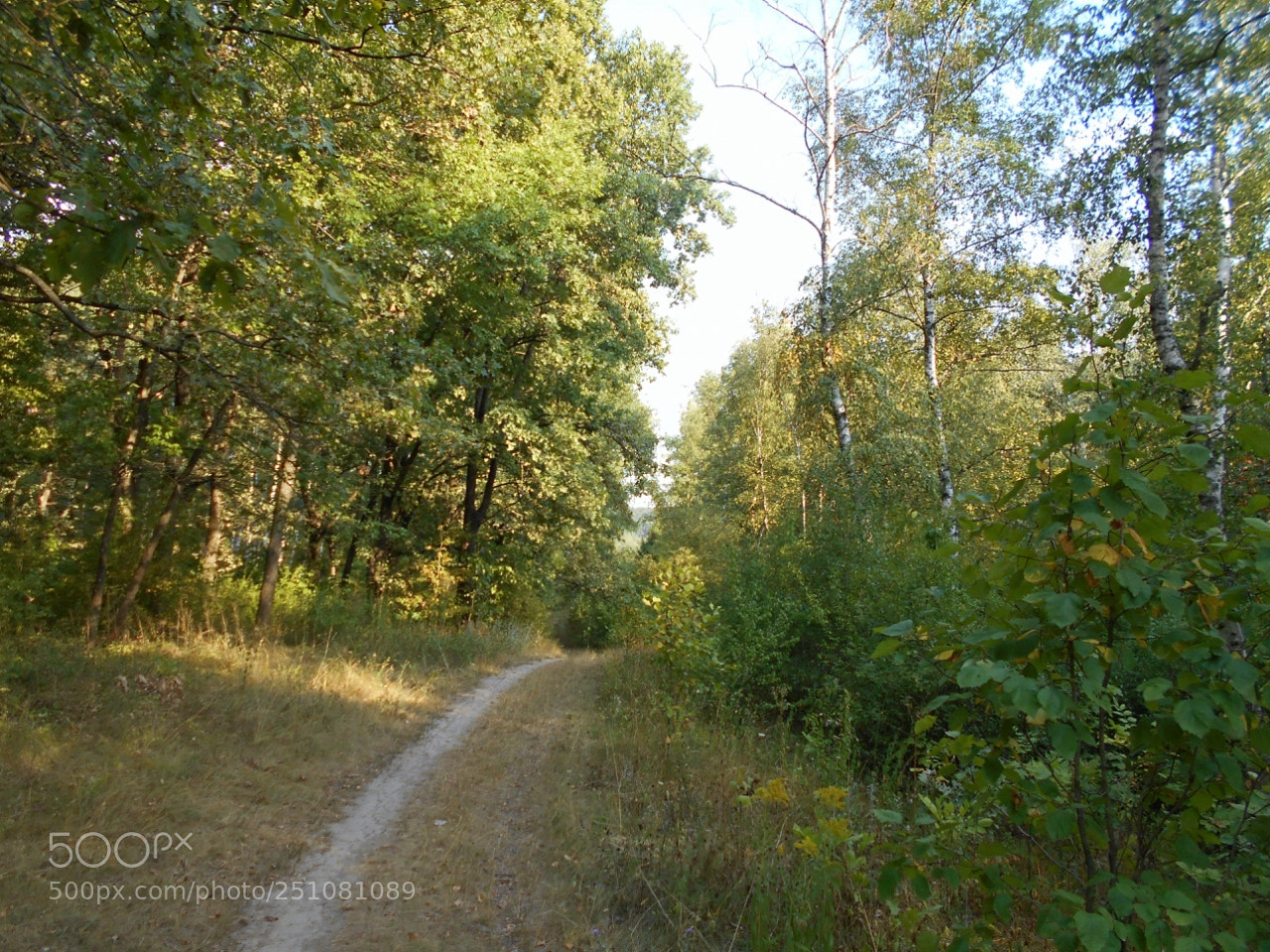 Nikon Coolpix A100 sample photo. Eea fborig photography