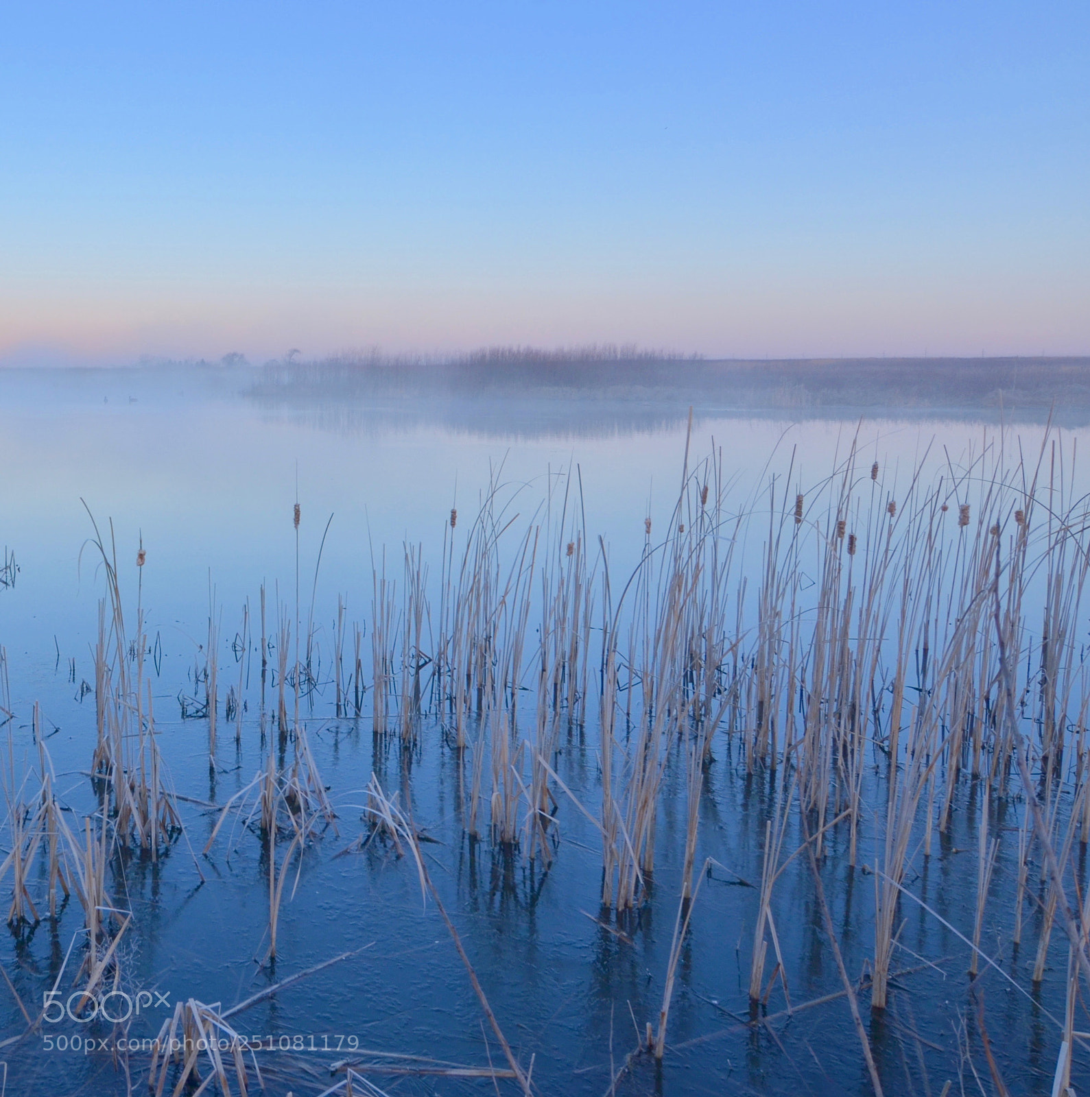 Nikon D7000 sample photo. Untitled photography
