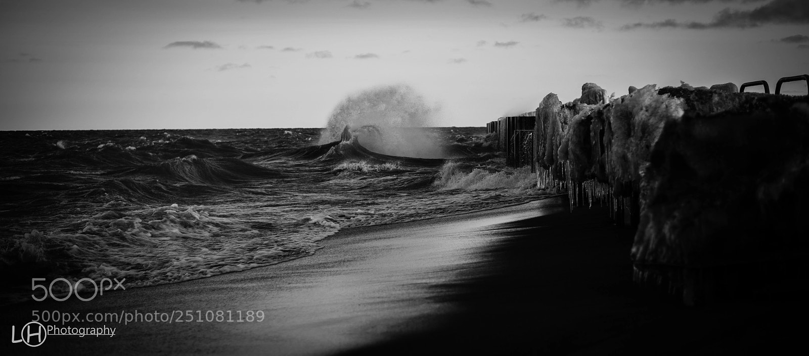 Nikon D810 sample photo. Untitled photography