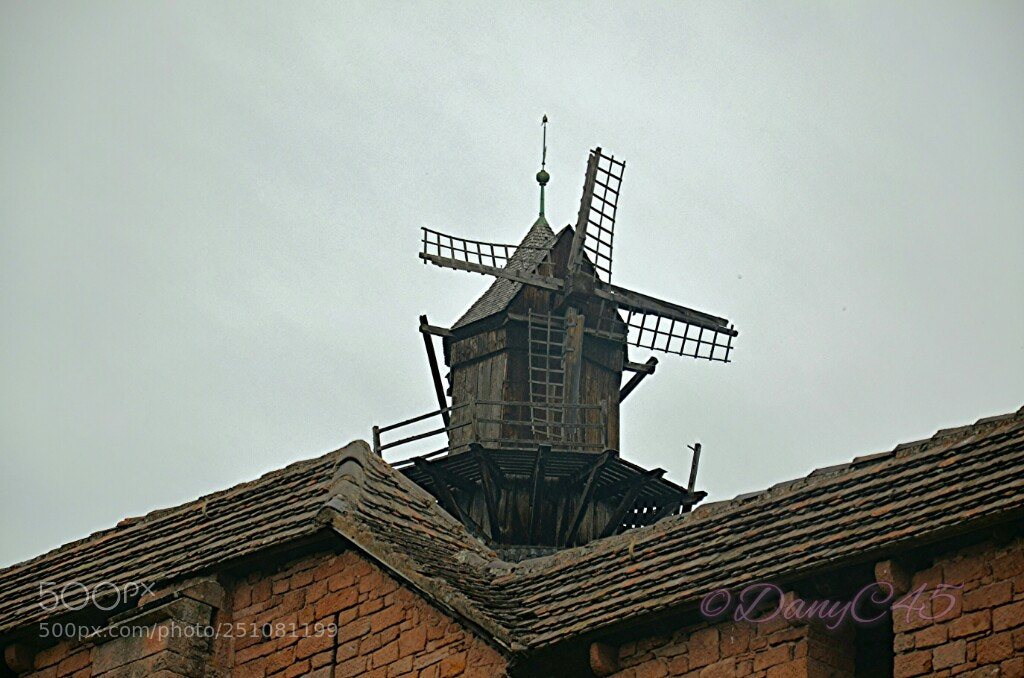 Nikon D5100 sample photo. Alsace (21) photography