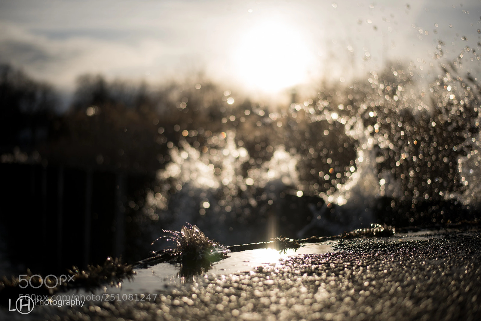 Nikon D810 sample photo. Untitled photography