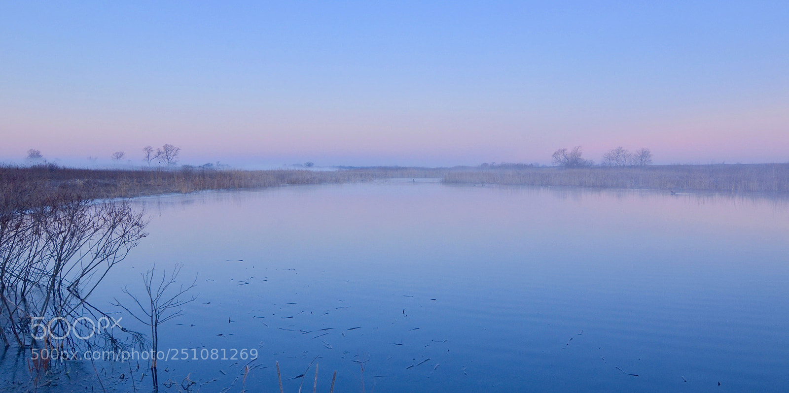 Nikon D7000 sample photo. Untitled photography