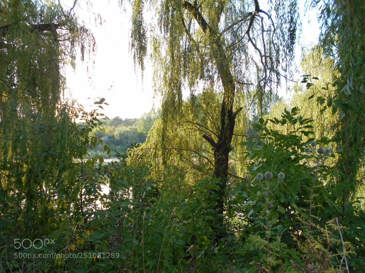 Nikon Coolpix A100 sample photo. Eecaorig photography